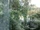  VANZARI Apartamente 2 camere Baba_100820091656 